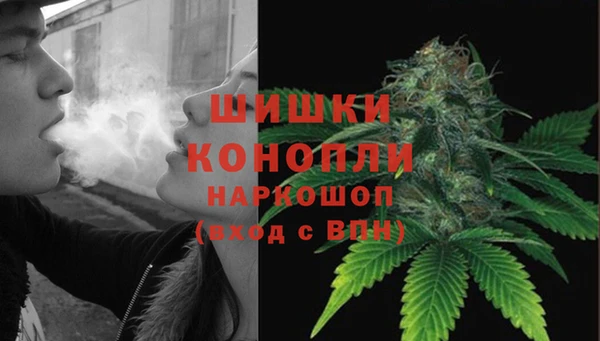 прущие грибы Абдулино