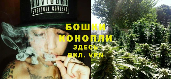 хмурый Покачи
