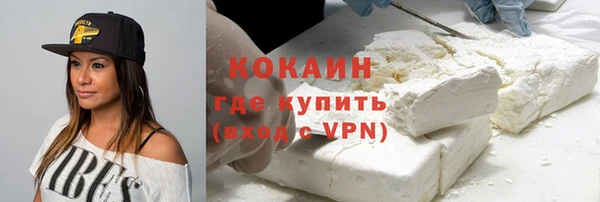 прущие грибы Абдулино
