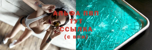 спиды Абаза