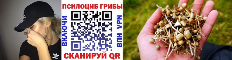 даркнет формула  Ржев  Галлюциногенные грибы MAGIC MUSHROOMS 
